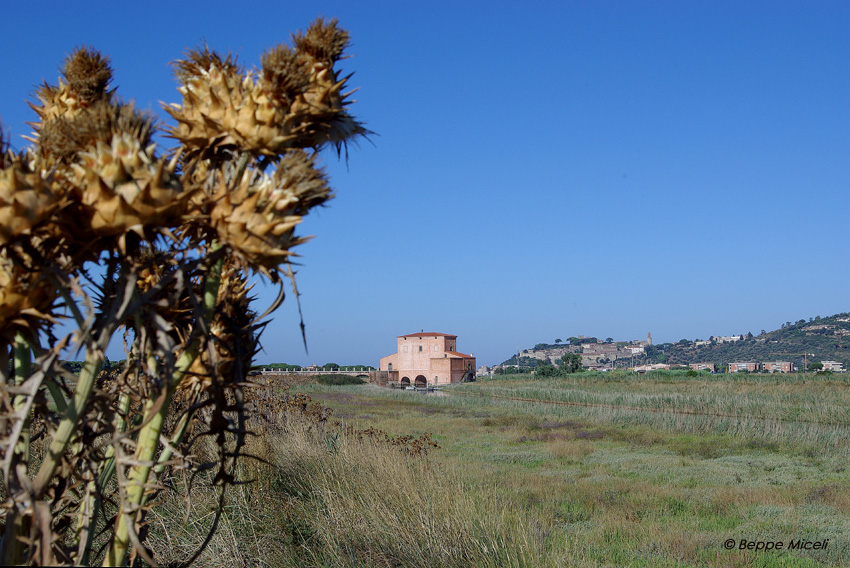 La Diaccia Botrona - Padule di Castiglione della Pescaia